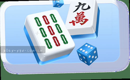 赛事资讯深度观察